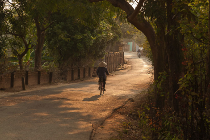 person on bicycle riding path in forest