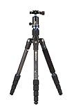 Benro Travel Angel 1 Series Carbon Fiber Tripod w/ V0E Ball Head (FTA19CV0)