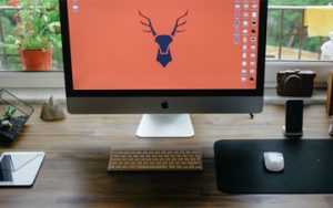 Don't make these 7 mistakes with your pnline photography portfolio