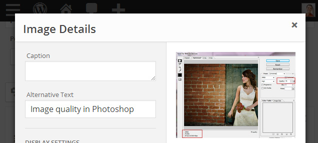 Sample alternate text for a photo