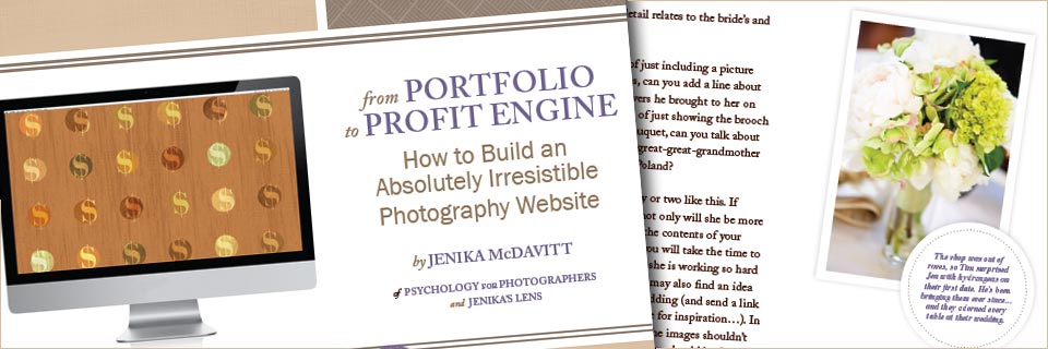 From Portfolio to Profit Ebook for Photographers