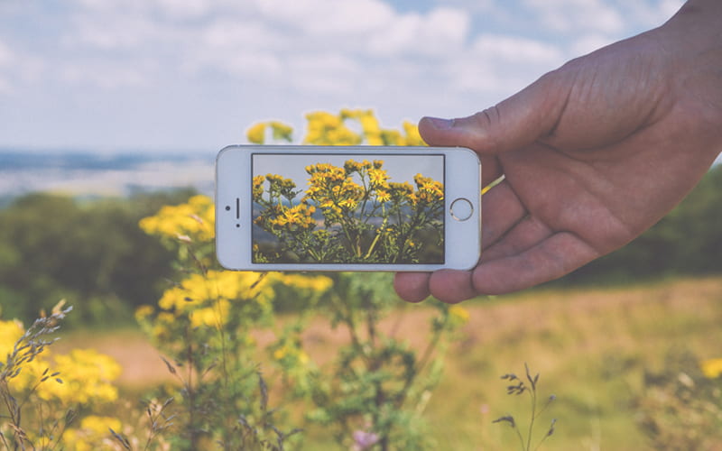 Capture macro images with nothing more than an iPhone camera