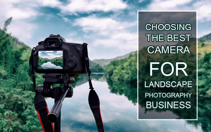 Choosing the Best Camera for Landscape Photography Business