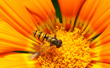 10 Ways You Can Protect Your Copyright