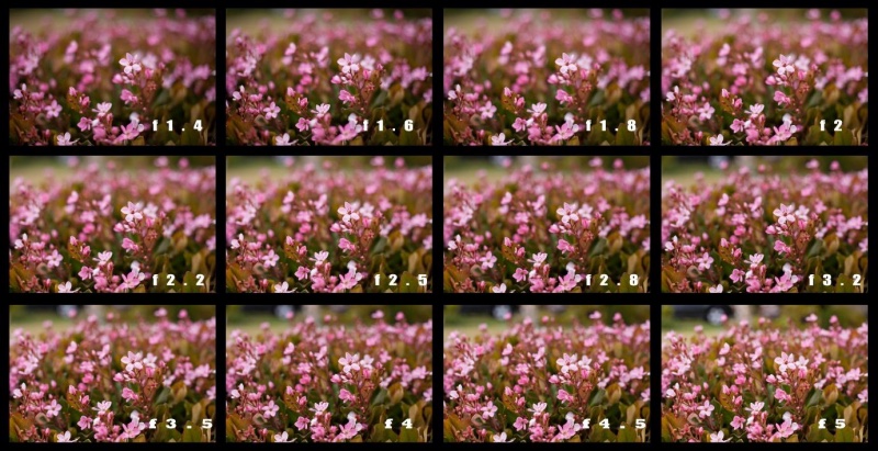 bokeh photo different apertures