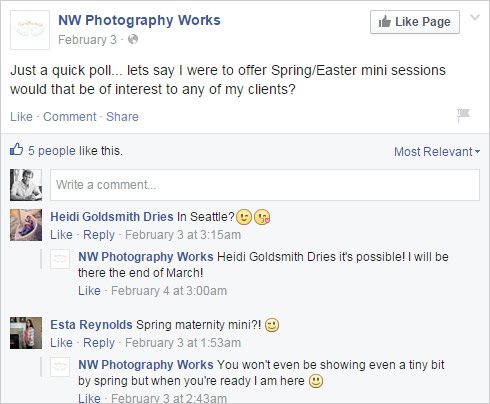 Example Facebook poll asking photography clients questions