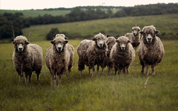 How to be Brave in Your Photography Business