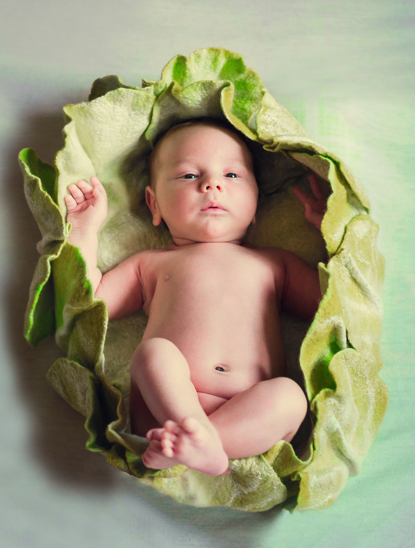 Newborn wrapped in a blanket that looks like lettuce