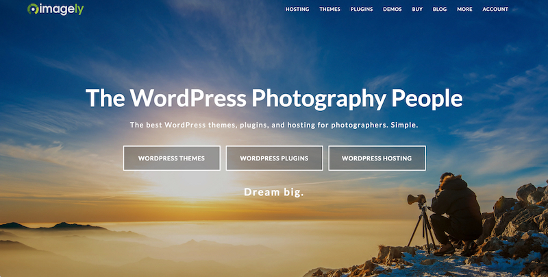 Imagely Homepage Showing Hosting, Themes, and Plugins