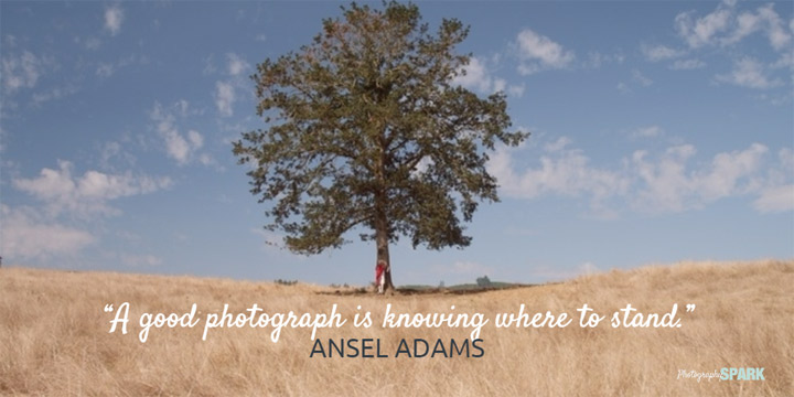 A good photograph is knowing where to stand. Which of the sayings on this page is your favorite?
