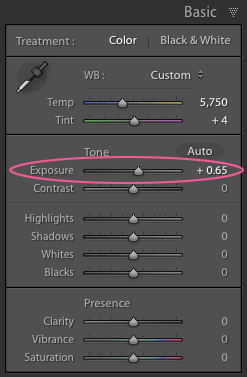 Adjusting Exposure in Lightroom