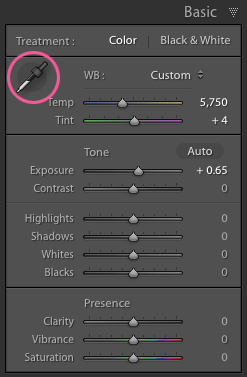 White Balance Eye Dropper Tool in Lightroom