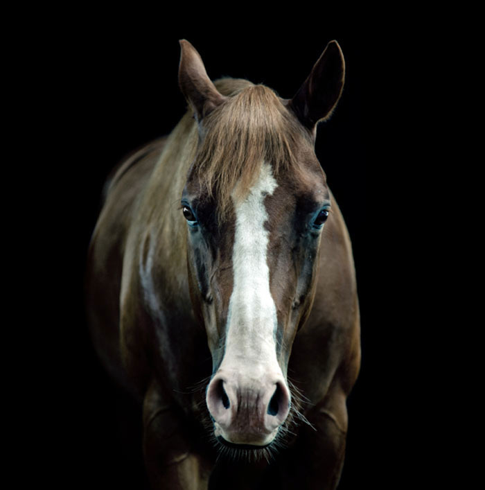 Enhancing a photo for a contest