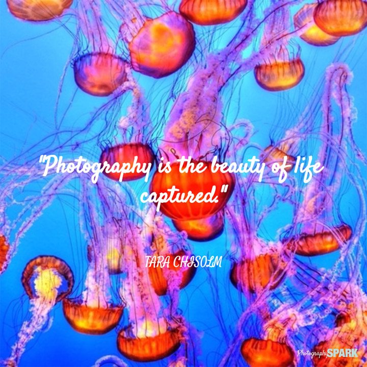 23 of the most famous quotes about photography.