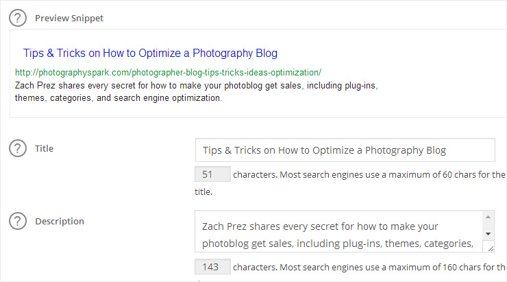 Preview of the All in One SEO Pack plugin for photoblogs