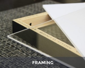 Professional Guide to Framing