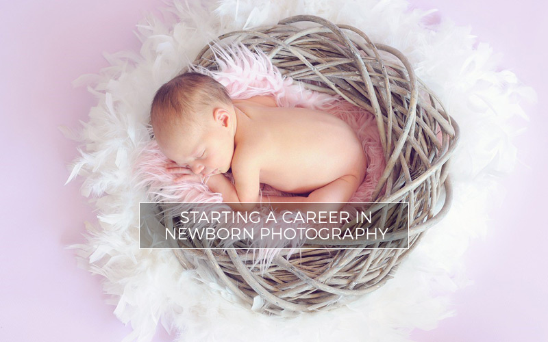Tips for starting a career in newborn photography