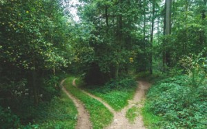 Two roads of testing photography prices