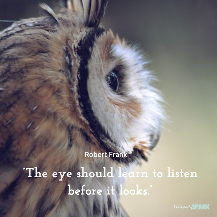 List of 23 photography quotes on Photography Spark including this one: The eye should learn to listen before it looks.