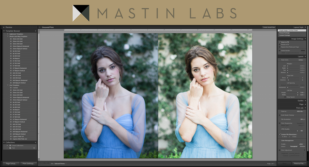 Mastin Labs Emulation Presets